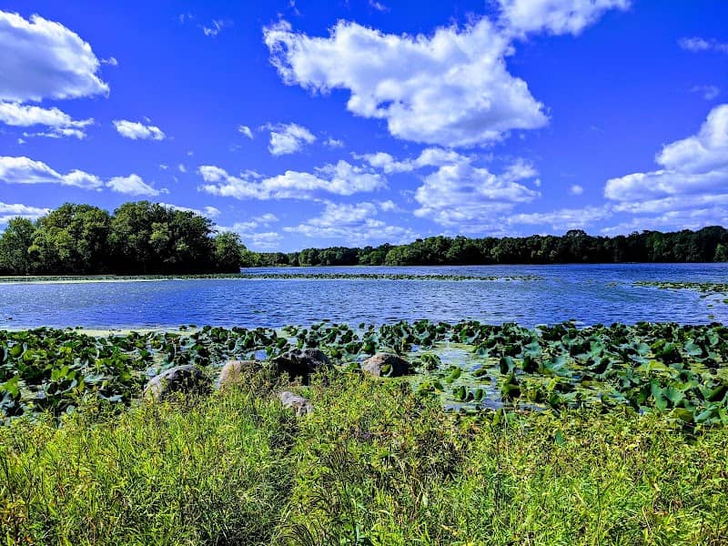 Cleary Lake Regional Park - Image 3