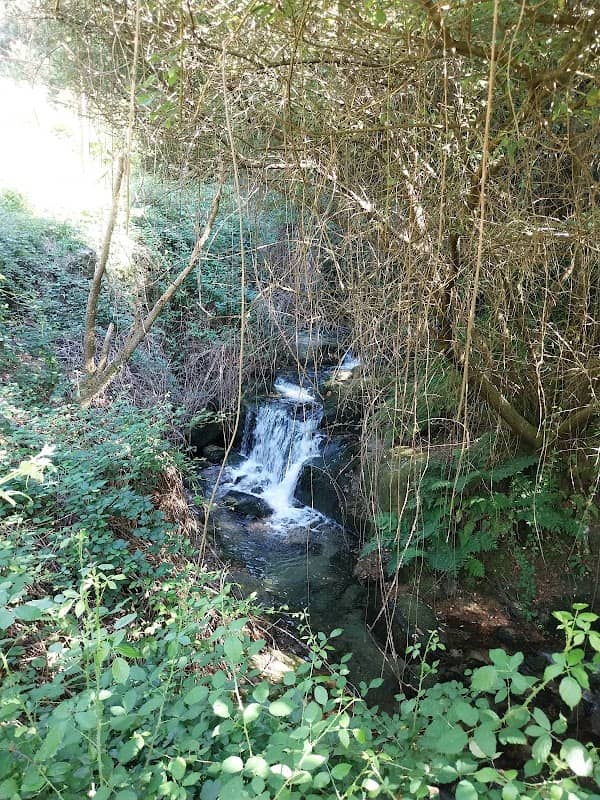 Cascata da lordosa - Image 1