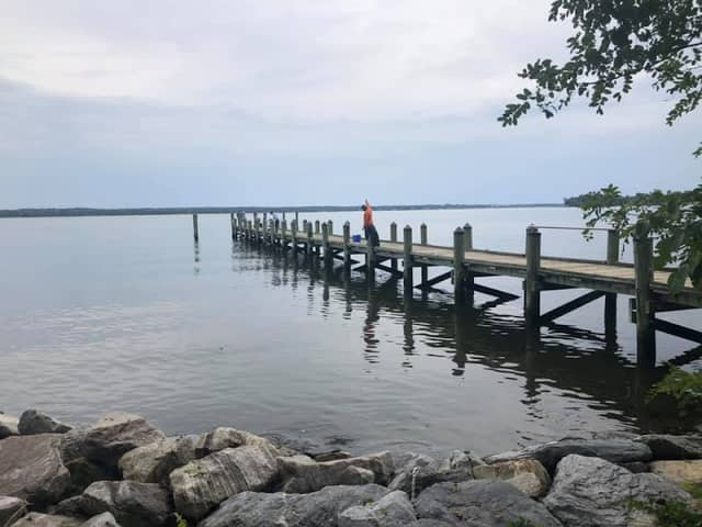 Greenwell State Park - Image 3