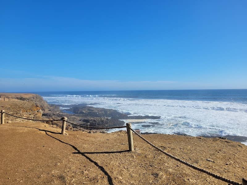Mirador Punta Lobos - Image 2