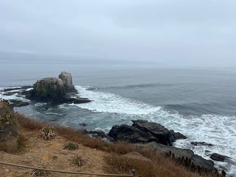 Mirador Punta Lobos - Image 1