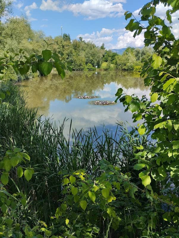 Ziegelteich - Image 1