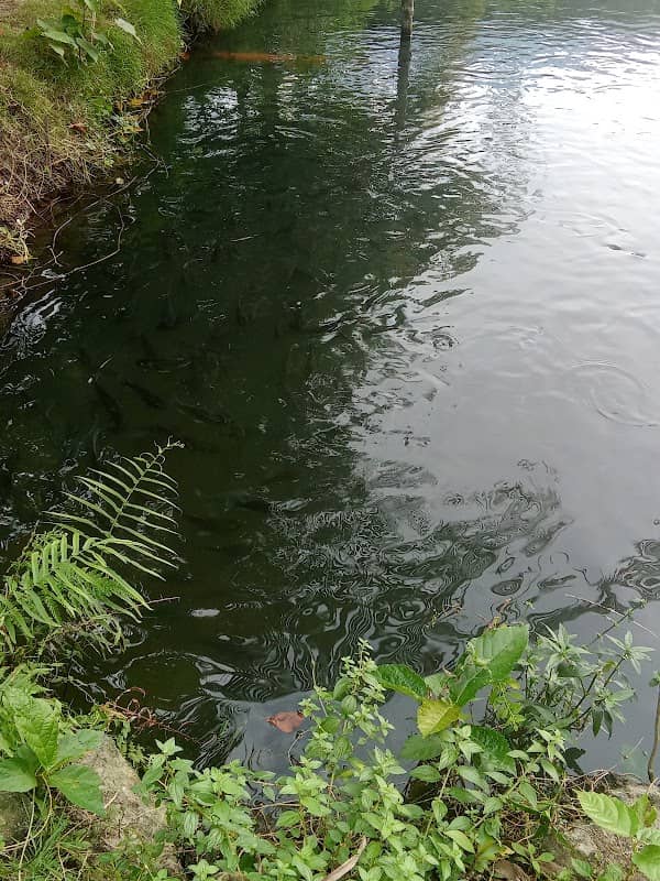 Sitio Cavite-Karayan Entry/Exit Point - Image 1