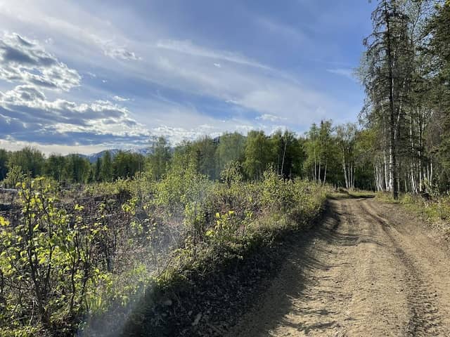 Wendt Rd. to Moose Range Trailhead - Image 2