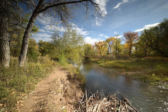 Lakewood City Urban Parks - Image 1