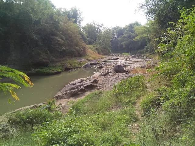 KALI PRENGGUK - Image 1