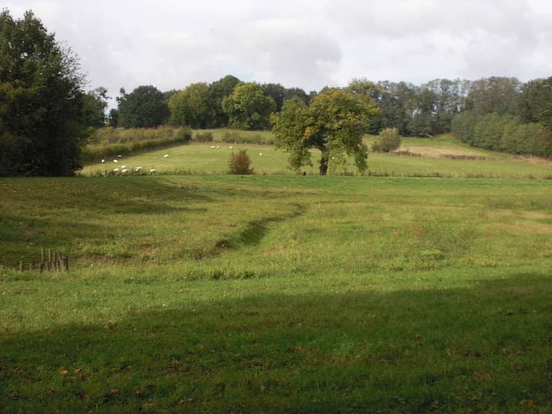 Wolfhagerbos - Image 1