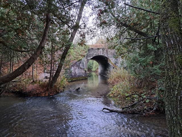 Orono Crown Lands - Image 1
