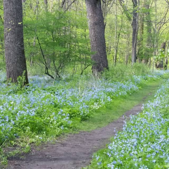 Carley State Park - Image 2