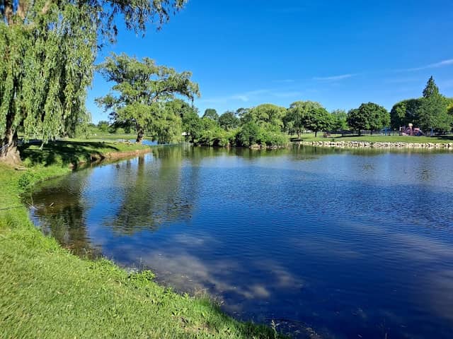 Nature's Classroom - Image 2