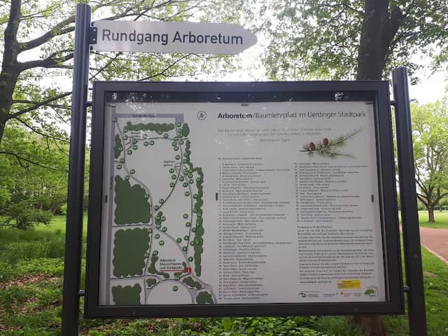 Arboretum / Baumlehrpfad im Uerdinger Stadtpark - Image 2