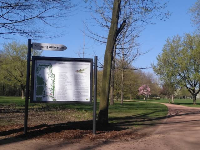 Arboretum / Baumlehrpfad im Uerdinger Stadtpark - Image 1