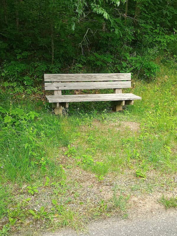 Trail bench - Image 1