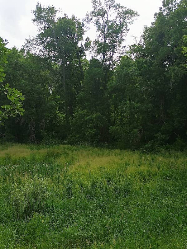 Trail bench - Image 2
