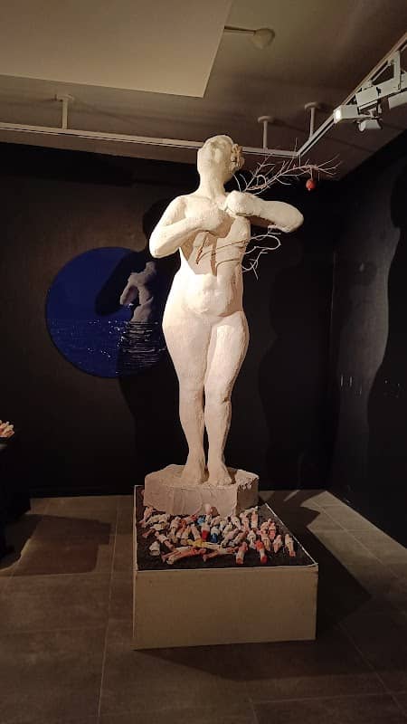 Collections de Saint-Cyprien - Image 2