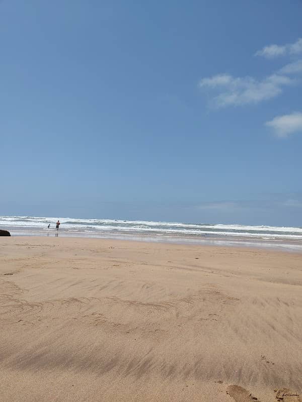 Spot - Image 1