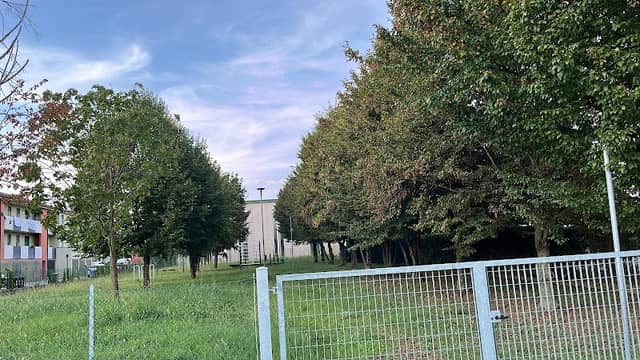 Saiyan Park - Image 1