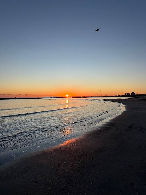 Spiaggia libera - Image 1