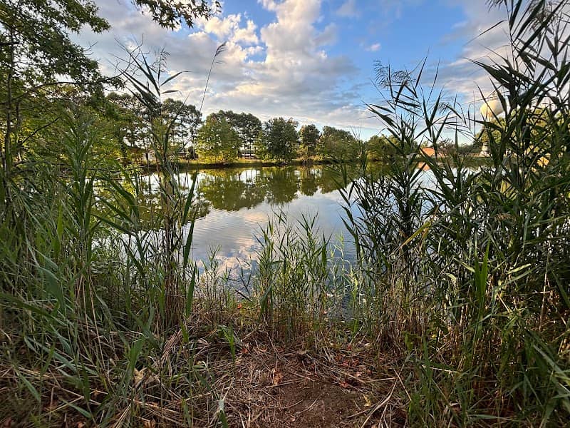 Kent Island Trail at Terrapin Nature Park - Image 2