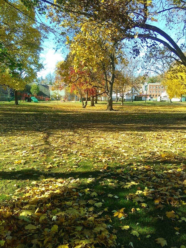 Thrall Park - Image 3