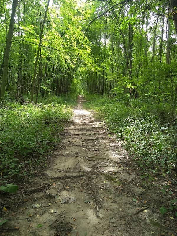 Woodland Park Gethings Road Entrance - Image 2