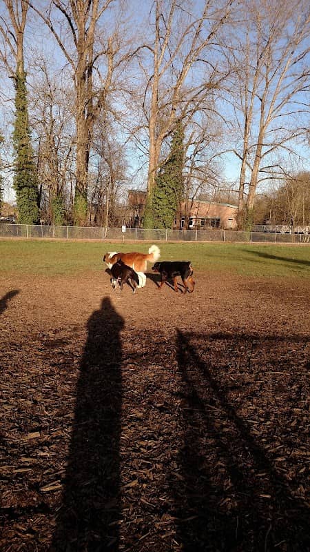 Central Bark Park - Image 1