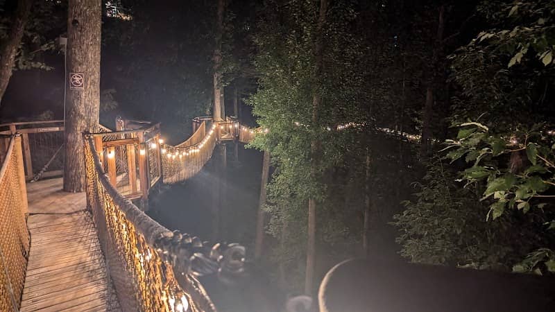 Treetop Skywalk at Anakeesta - Image 1