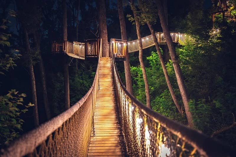 Treetop Skywalk at Anakeesta - Image 2