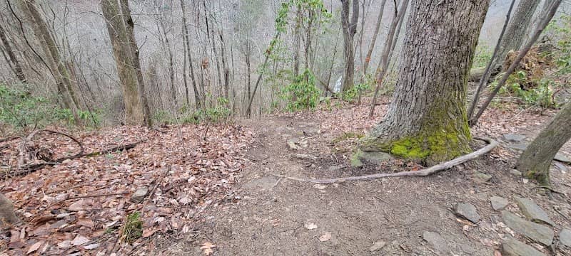 Trail to Rainbow Falls - Image 3