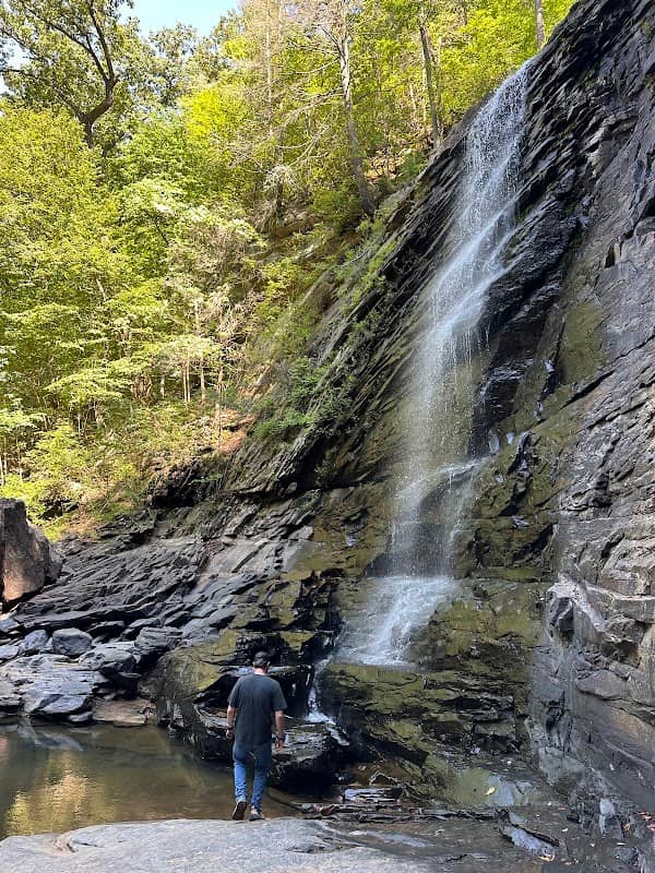 Trail to Rainbow Falls - Image 1