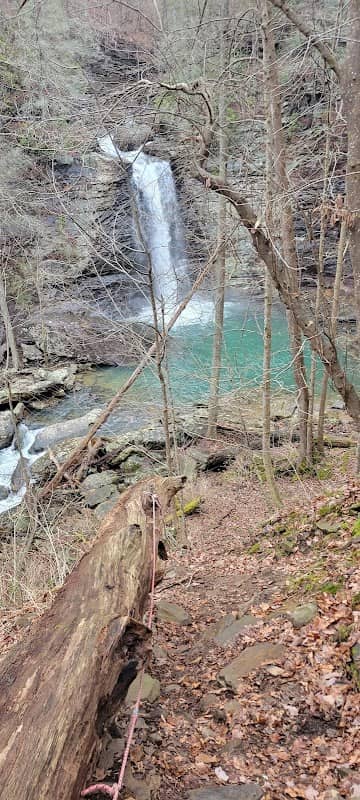 Trail to Rainbow Falls - Image 2