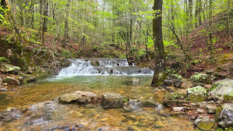 Collier Springs - Image 2