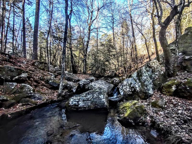 Collier Springs - Image 1