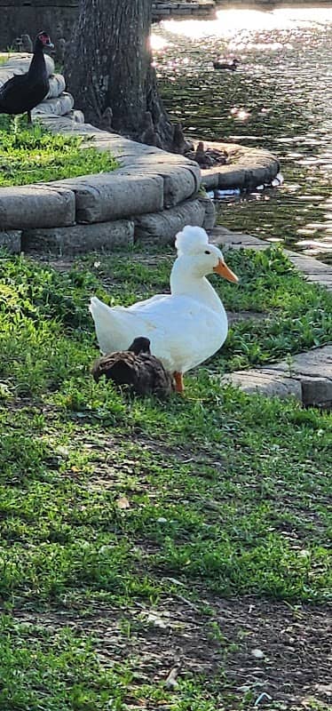 City Lake Park - Image 1