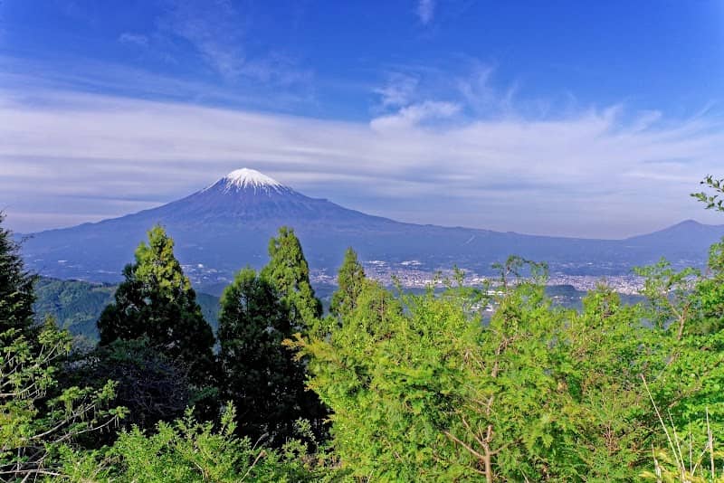 Koibitonoseichi Shiratoriyama Forest Park - Image 1