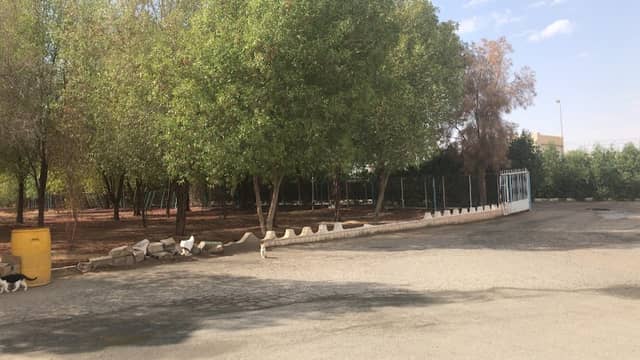 ممشى حديقة الملك سلمان - Image 2