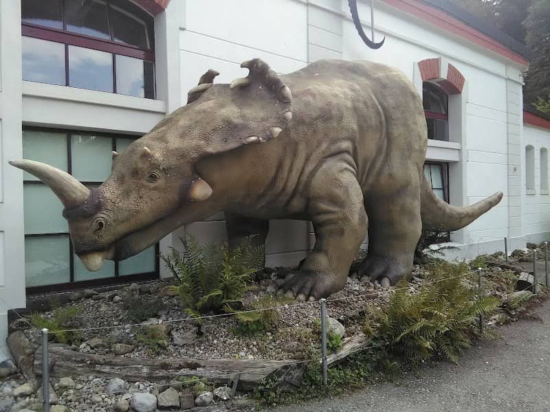 Aathal Dinosaur Museum - Image 1