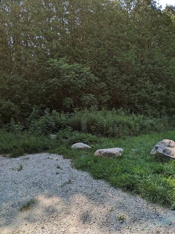 WL Dickson Arboretum - Image 2