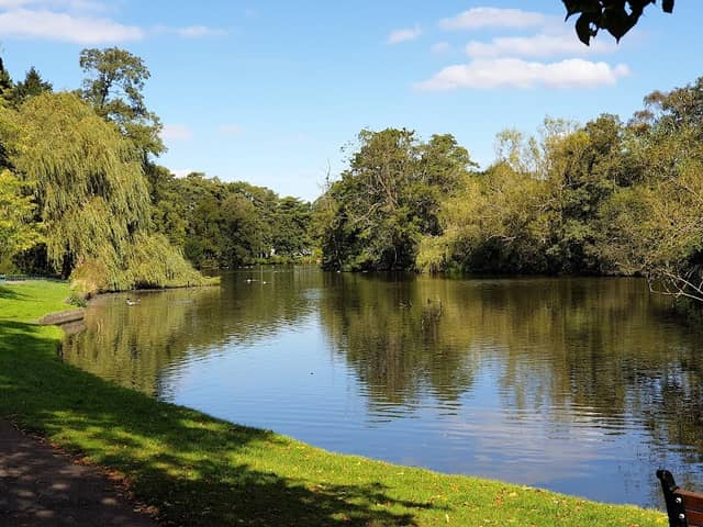 Solihull Malvern Park - Image 1