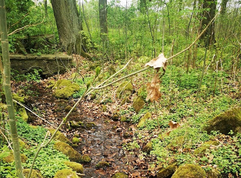 Park - Image 1