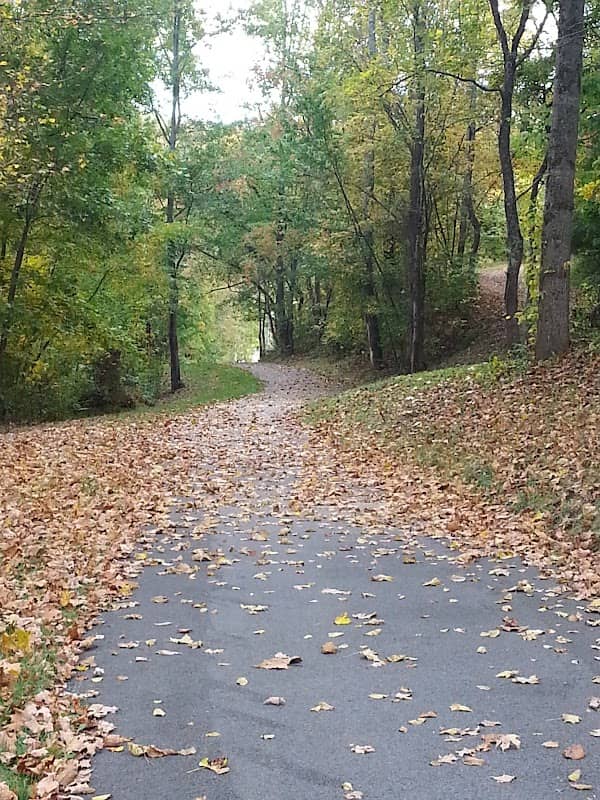 Town of Jonesborough Park - Image 2