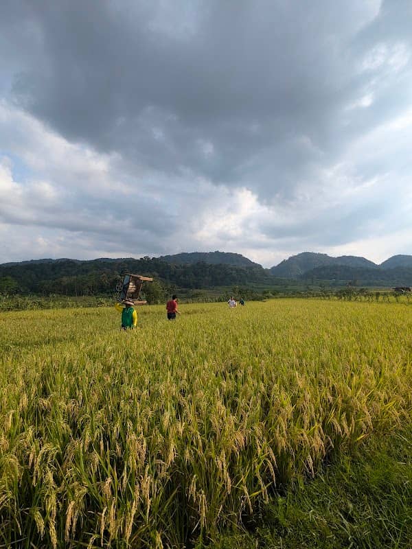 Dusun Joyo View - Image 1