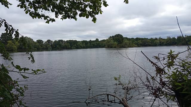 Weikensee - Image 1