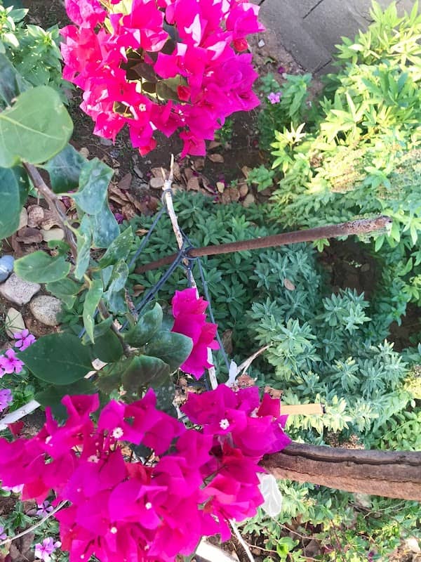 دره النميص - Image 2