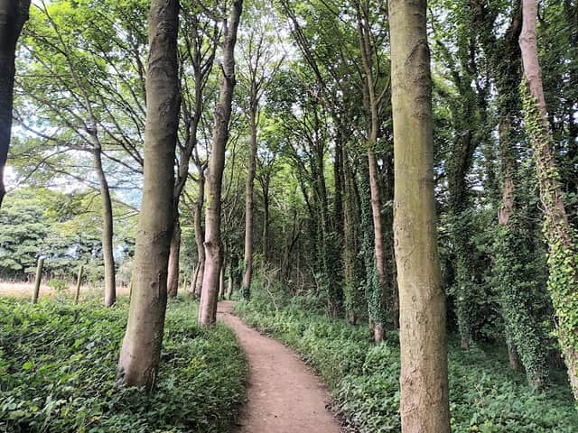Hawthorn Dene Meadows - Image 1