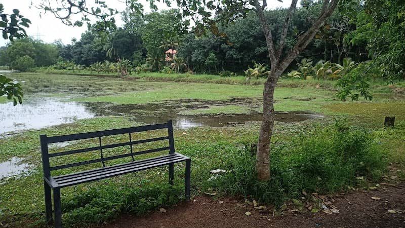 Kalampattuchira View Point & Sitting Area - Image 1