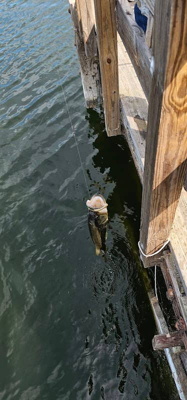 South fishing pier - Image 1
