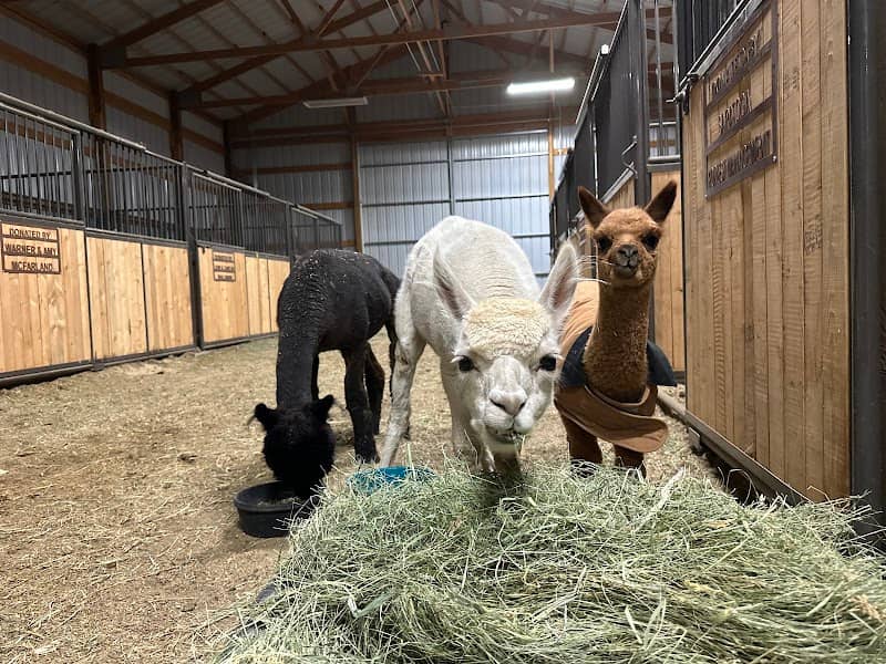 Carbon County Fairgrounds Horse Barn - Image 1