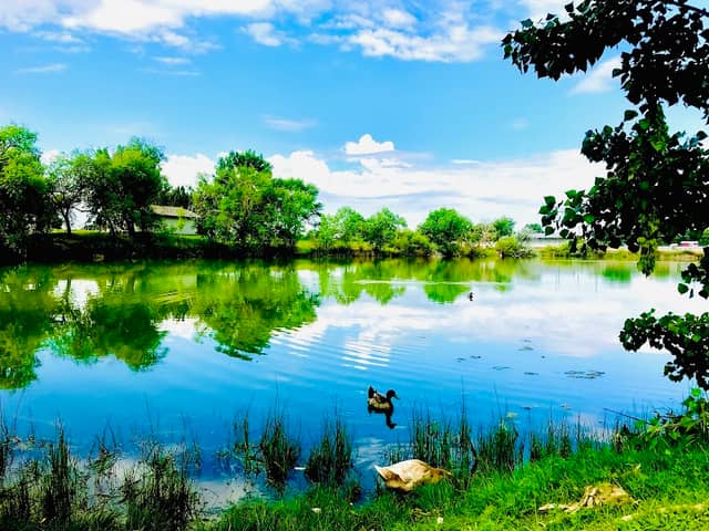 Beck-kiwanis park - Image 2