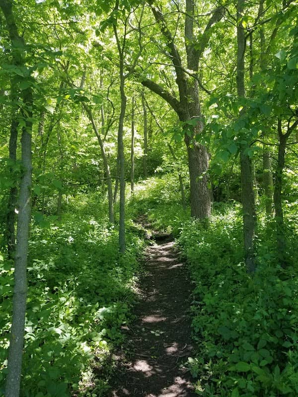Ice Age Trail - Cross Plains Segment - Image 1